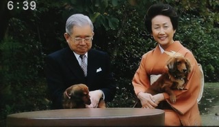 人間と動物のツーショット