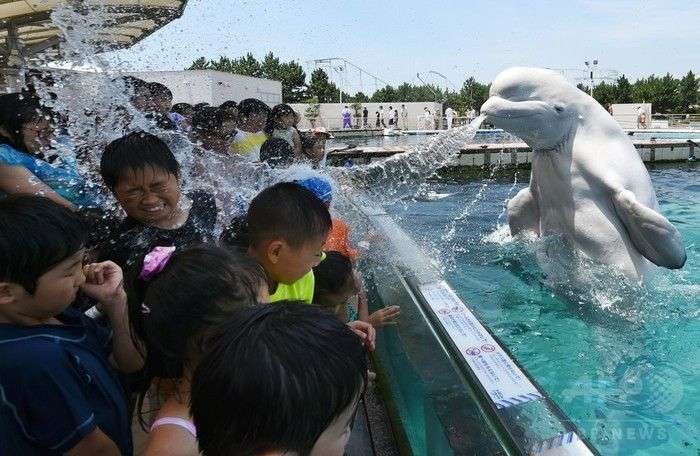 人間と動物のツーショット