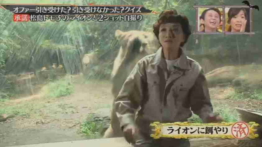 人間と動物のツーショット