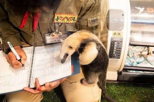 人間と動物のツーショット