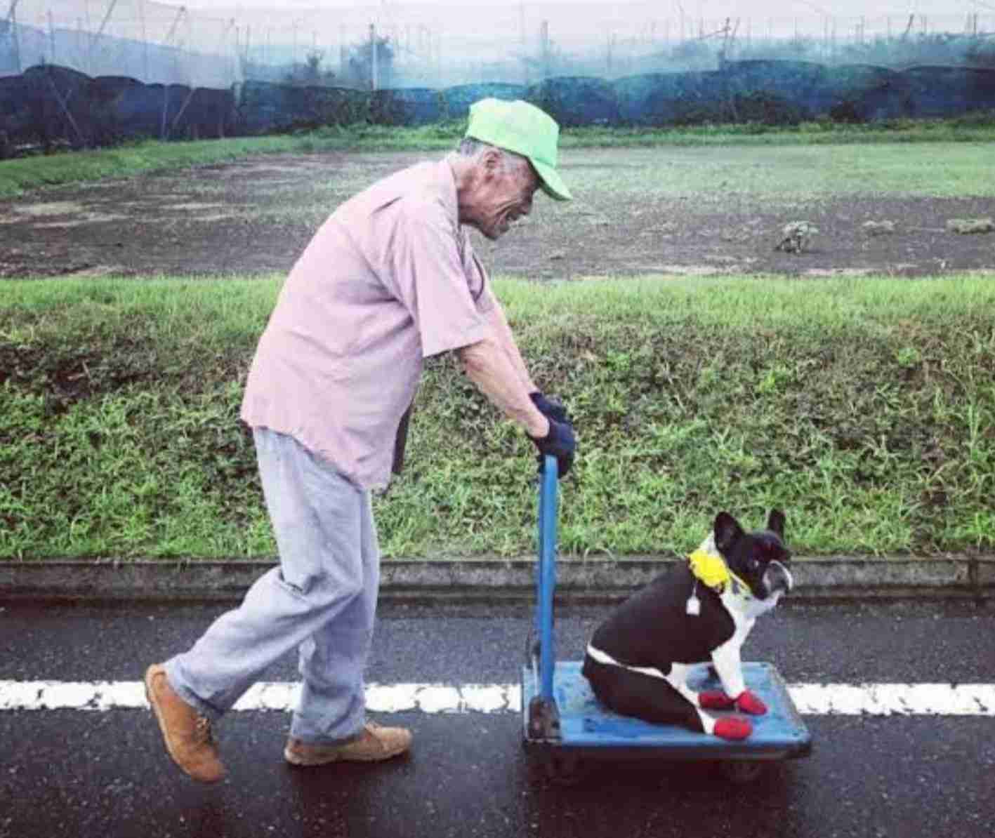 人間と動物のツーショット
