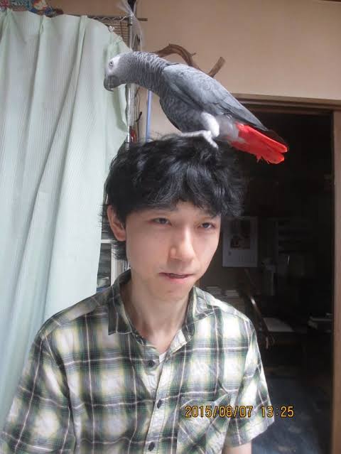 人間と動物のツーショット
