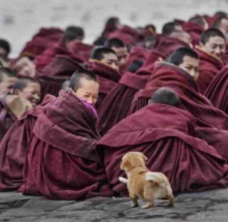 人間と動物のツーショット