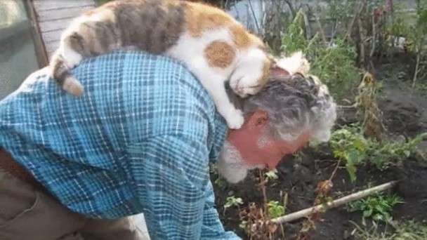 人間と動物のツーショット