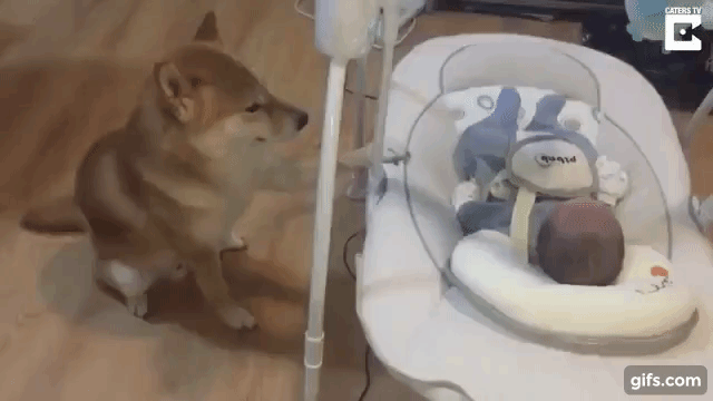 人間と動物のツーショット