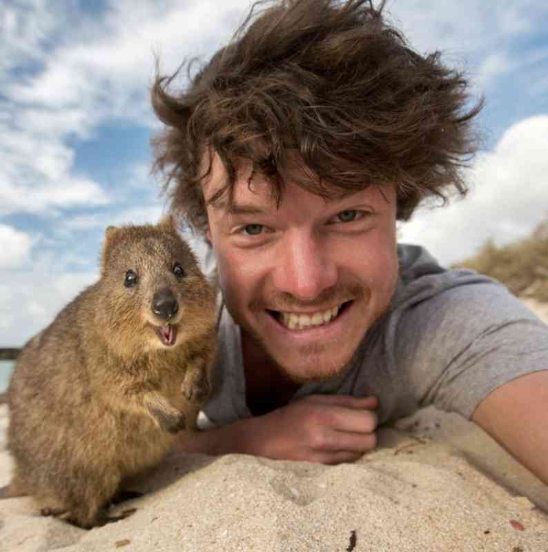 人間と動物のツーショット