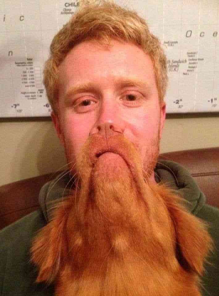 人間と動物のツーショット