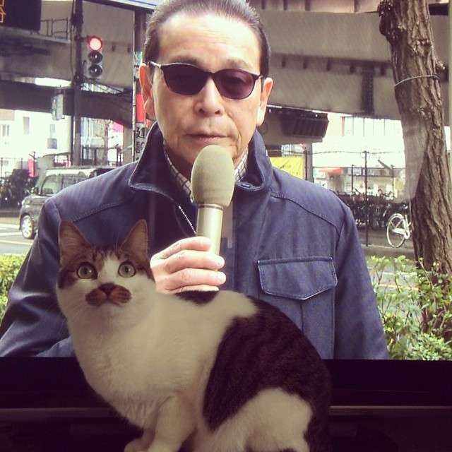 人間と動物のツーショット