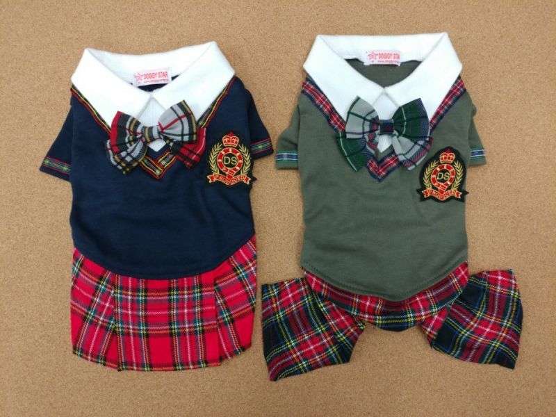 愛犬に着せるおすすめの服を教えてください