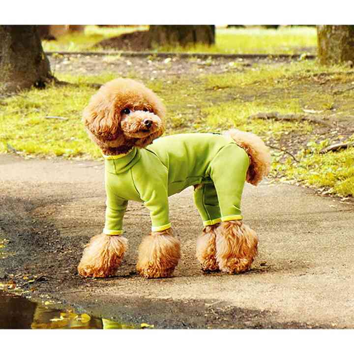 愛犬に着せるおすすめの服を教えてください