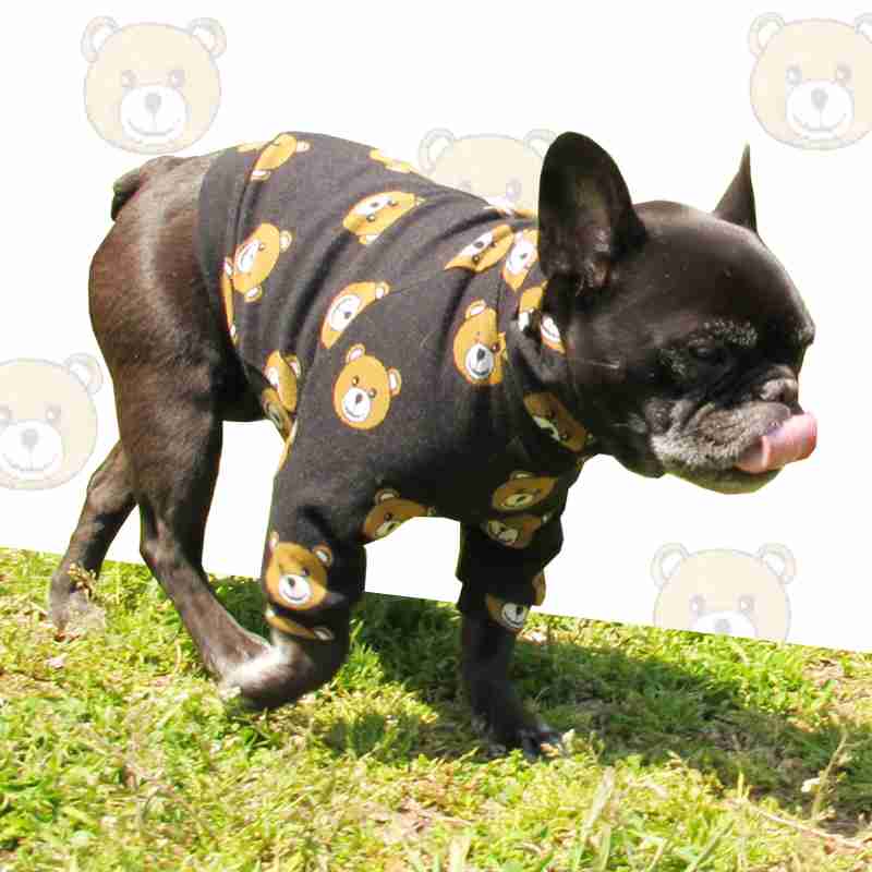 愛犬に着せるおすすめの服を教えてください