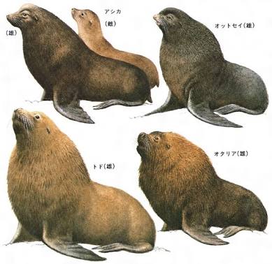 意識高い系の人が持ってるアイテム