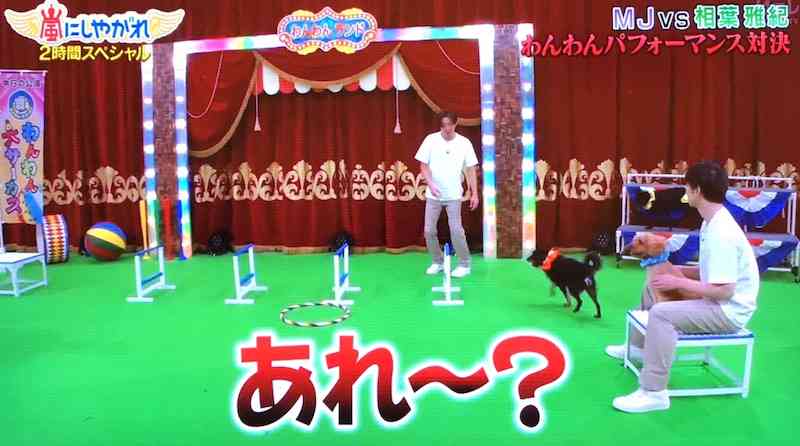 志村園長 最後まで優しく温かく 26日最終回「志村どうぶつ園」2月撮影の未公開シーン放送