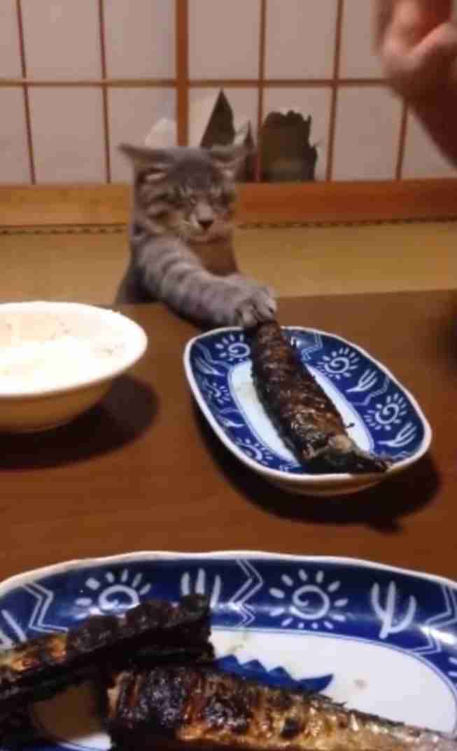 なんでやねん！と突っ込みたくなる自分の変な体質