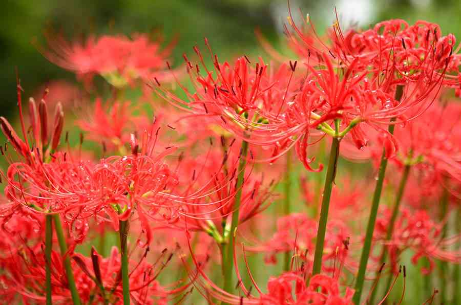 【春夏秋冬】もうそんな季節になったのか〜って感じること【いつでもオッケー】