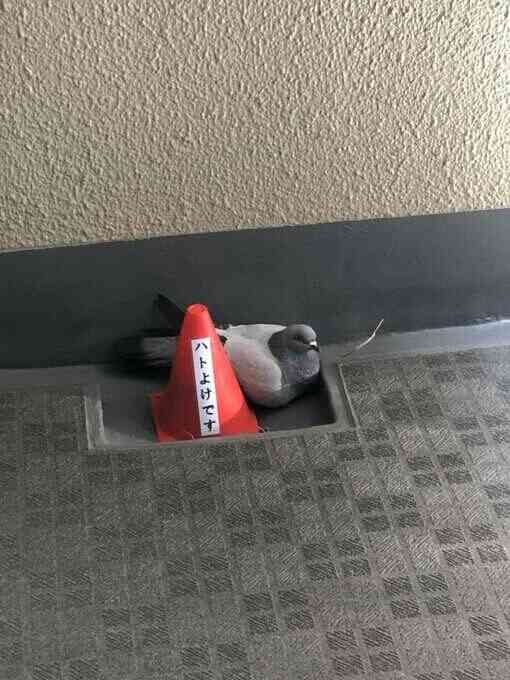 意識しないと忘れてしまうこと