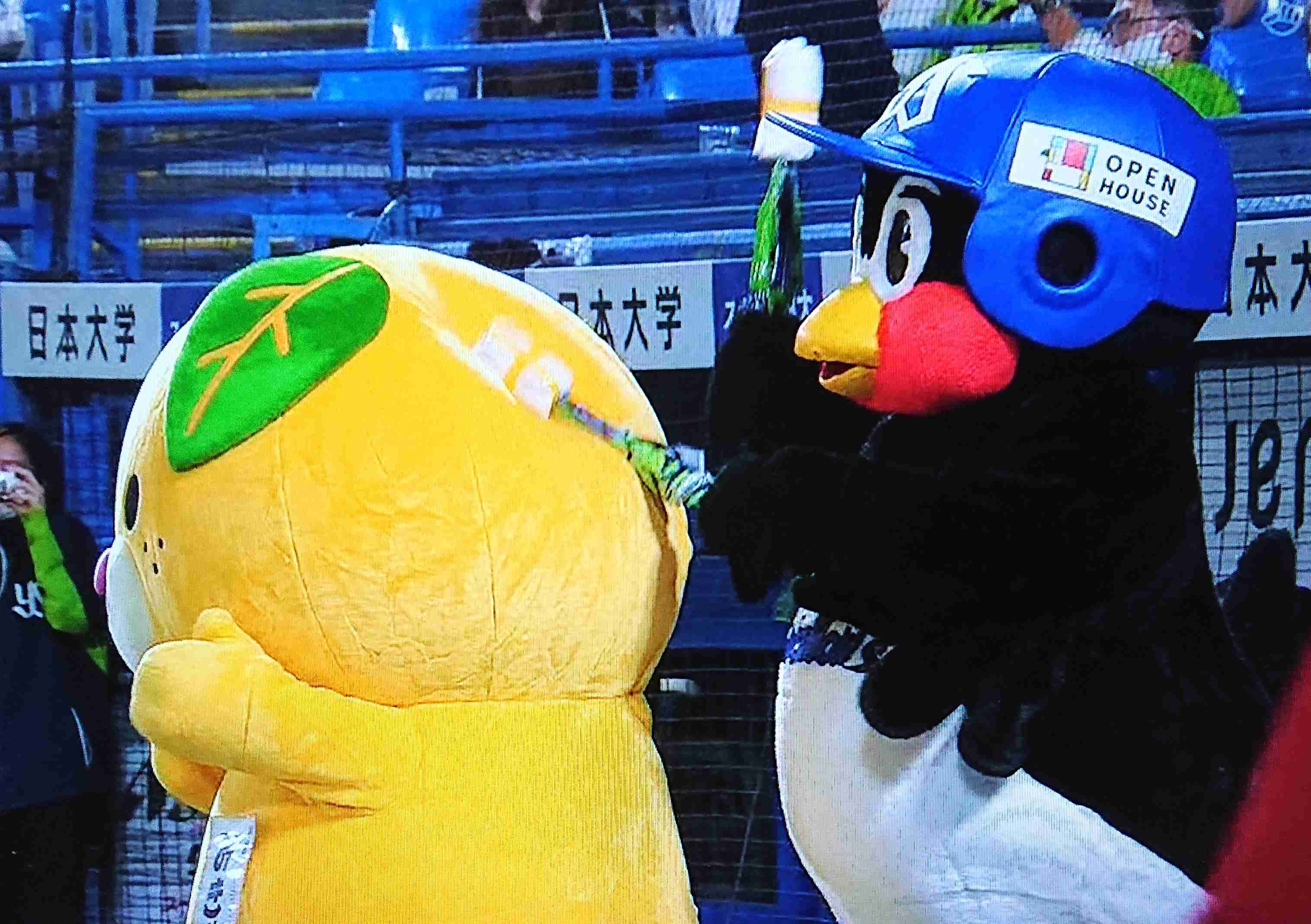 【定期】プロ野球12球団総合トピ