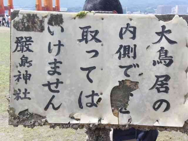 こんなこと注意書きいる？ってびっくりすること