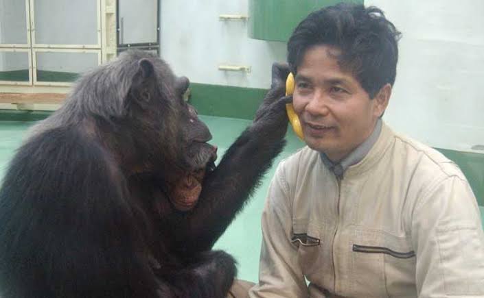 受話器持ってる画像