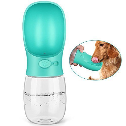 犬の散歩グッズおすすめ