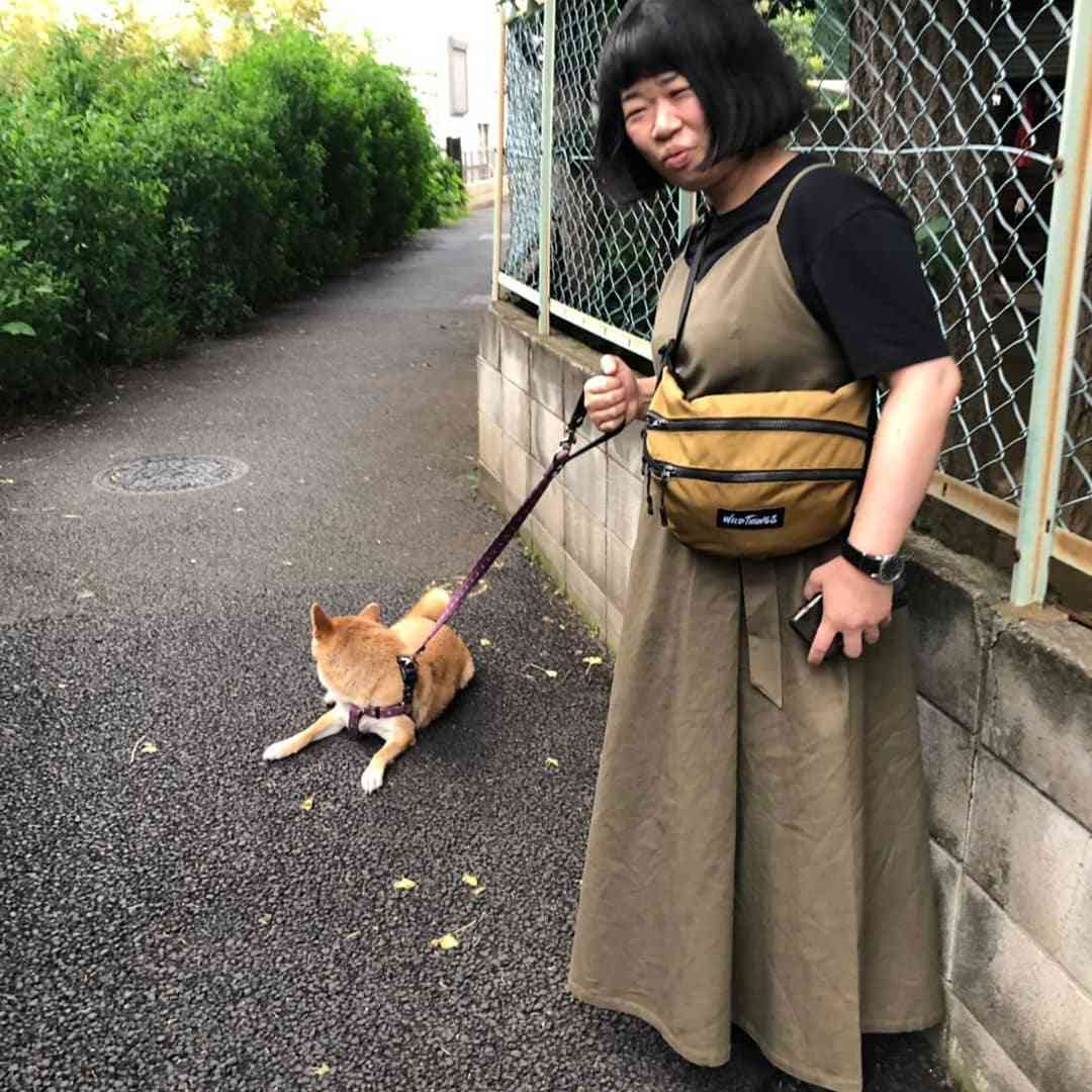 犬の散歩グッズおすすめ
