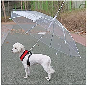 犬の散歩グッズおすすめ