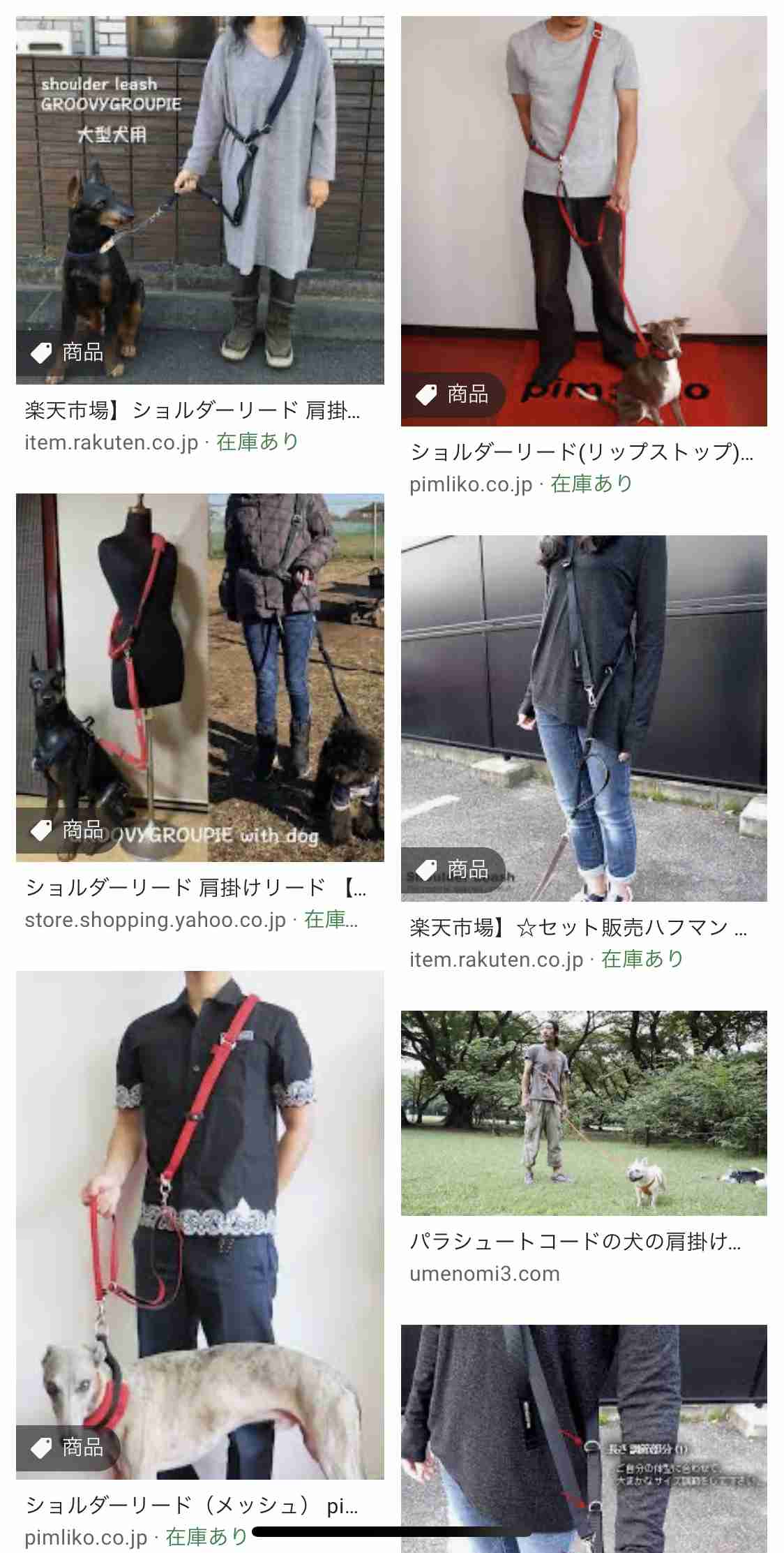 犬の散歩グッズおすすめ