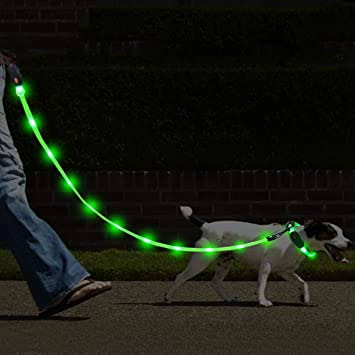 犬の散歩グッズおすすめ
