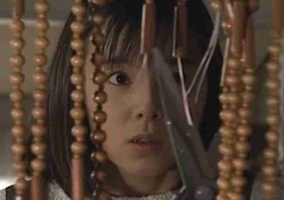 【マニアック？】思い出のじゃらじゃらのれん【画像】