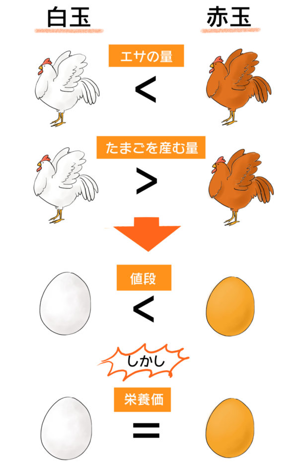 白い卵ではなく茶色の卵買う派の人🥚