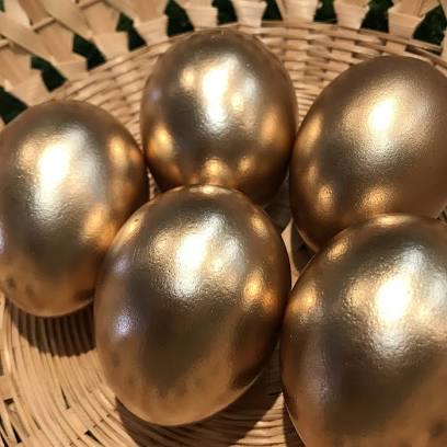 白い卵ではなく茶色の卵買う派の人🥚
