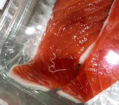 【閲覧注意】ストレスになりそうな画像を貼ってしまうトピ