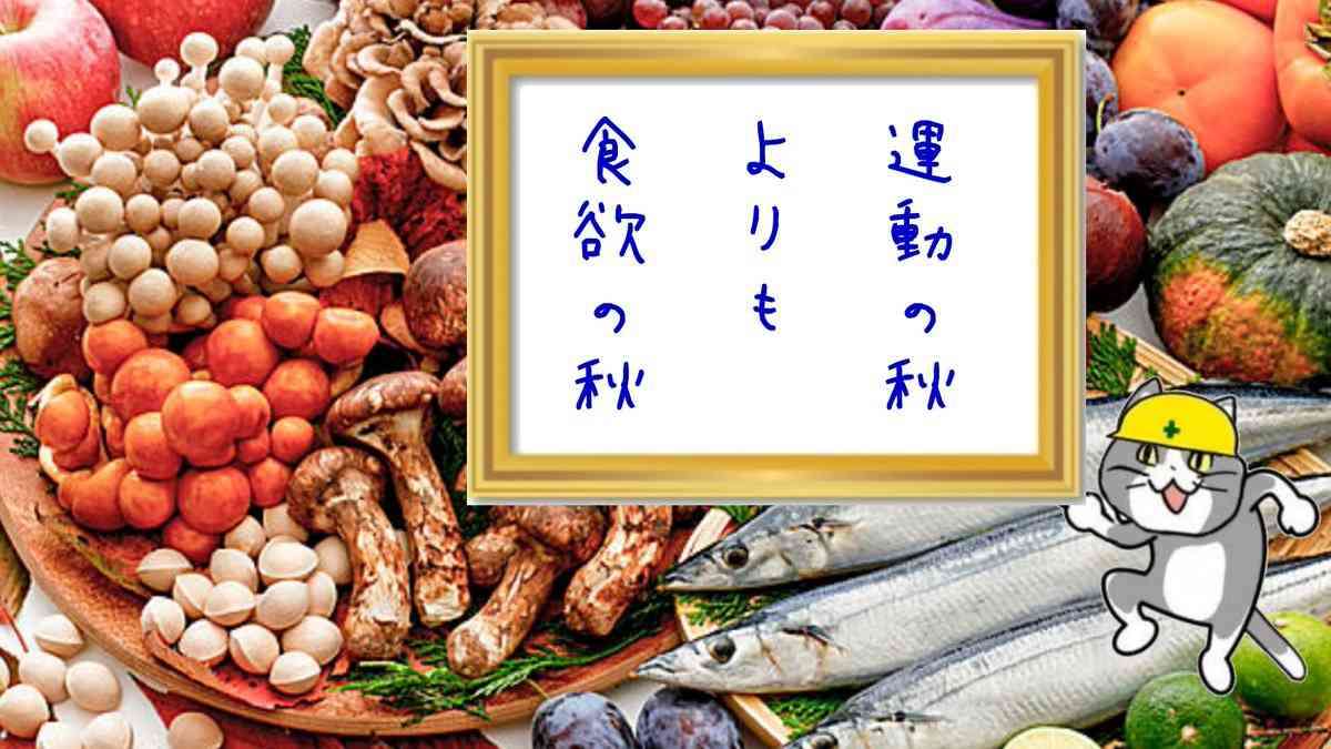 SNSで話題の“仕事猫”、ぬいぐるみ型クッションに