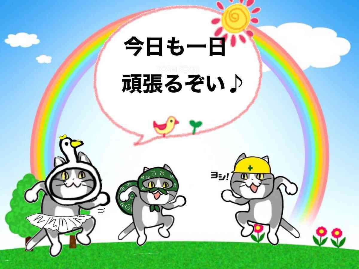 SNSで話題の“仕事猫”、ぬいぐるみ型クッションに