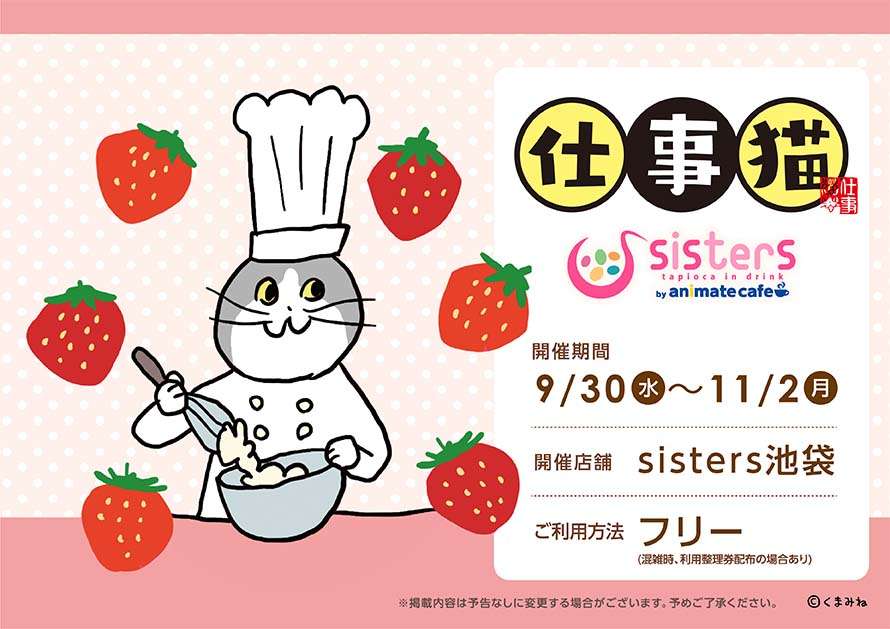 SNSで話題の“仕事猫”、ぬいぐるみ型クッションに