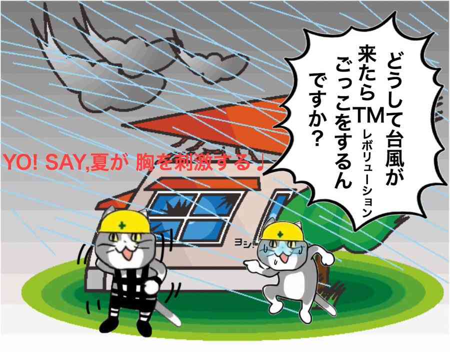 SNSで話題の“仕事猫”、ぬいぐるみ型クッションに