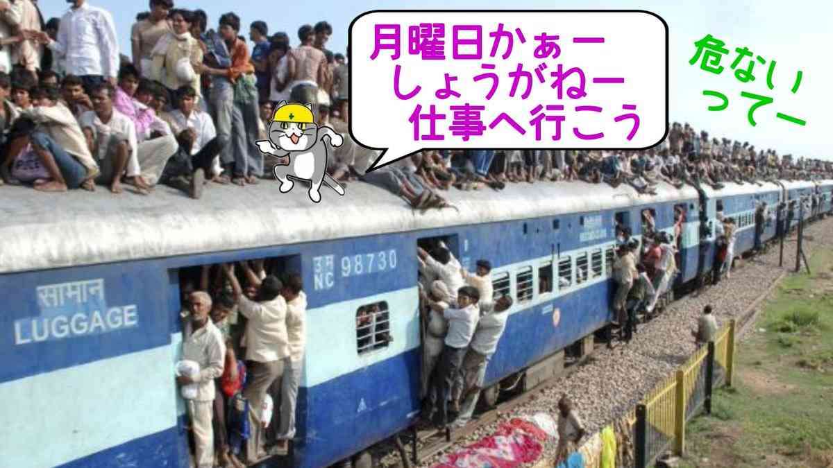 SNSで話題の“仕事猫”、ぬいぐるみ型クッションに