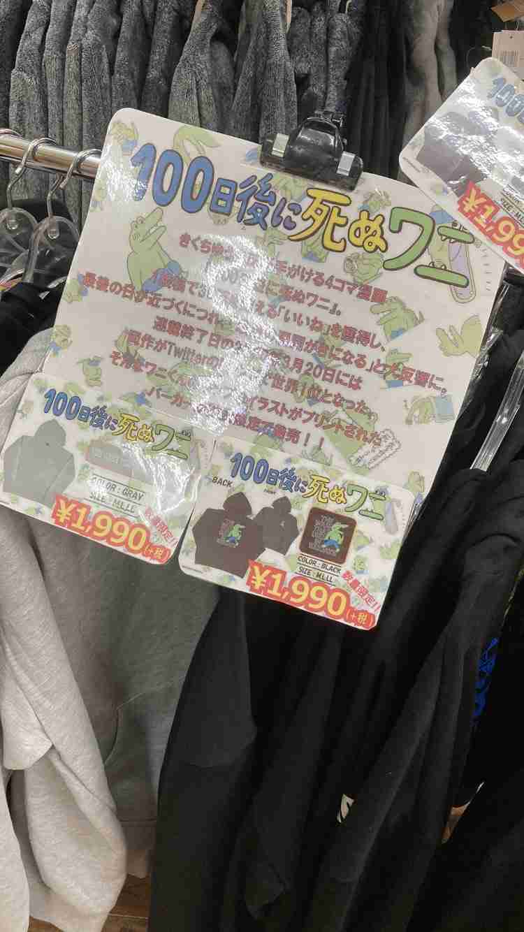SNSで話題の“仕事猫”、ぬいぐるみ型クッションに