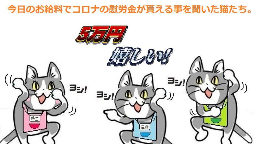 SNSで話題の“仕事猫”、ぬいぐるみ型クッションに