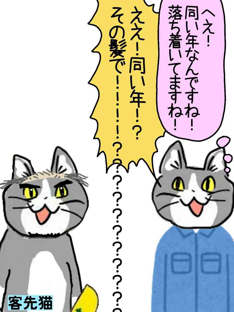 SNSで話題の“仕事猫”、ぬいぐるみ型クッションに
