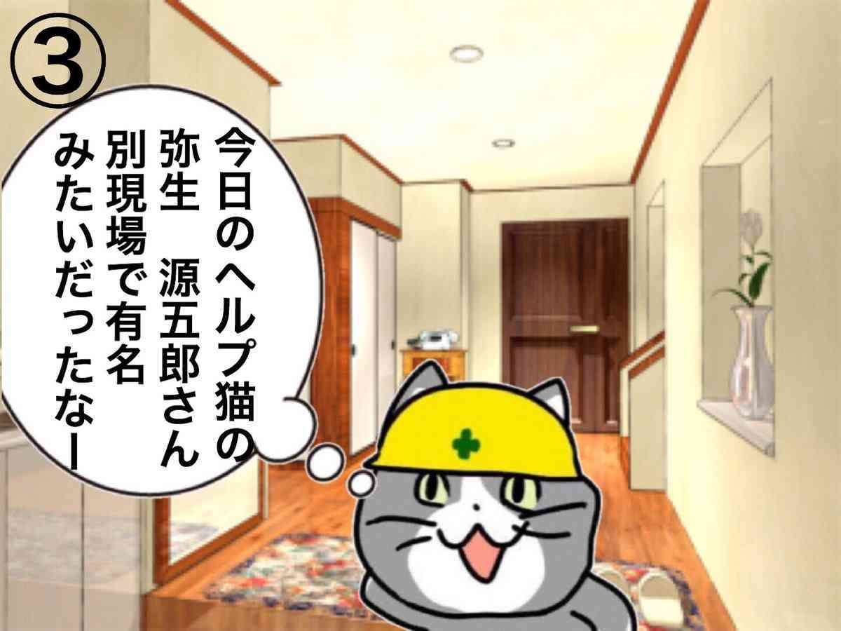 SNSで話題の“仕事猫”、ぬいぐるみ型クッションに