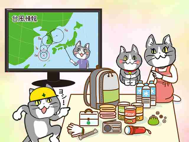 SNSで話題の“仕事猫”、ぬいぐるみ型クッションに