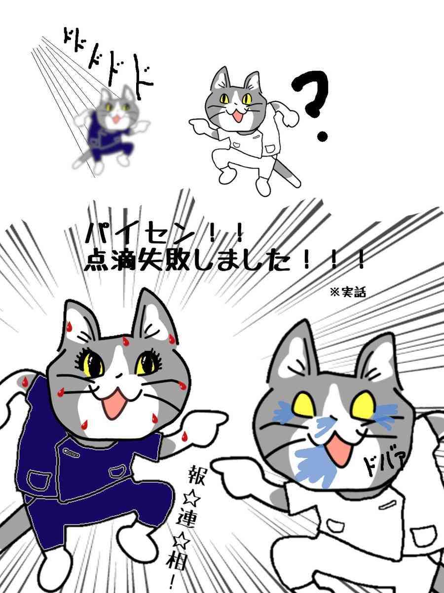 SNSで話題の“仕事猫”、ぬいぐるみ型クッションに