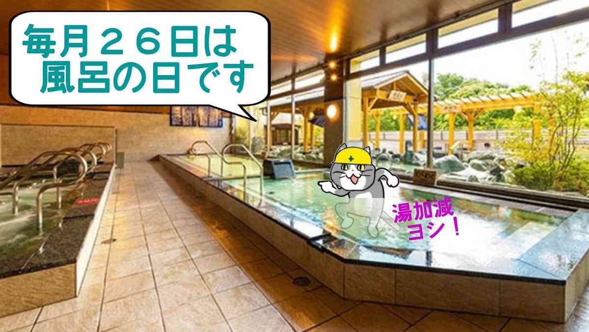 SNSで話題の“仕事猫”、ぬいぐるみ型クッションに