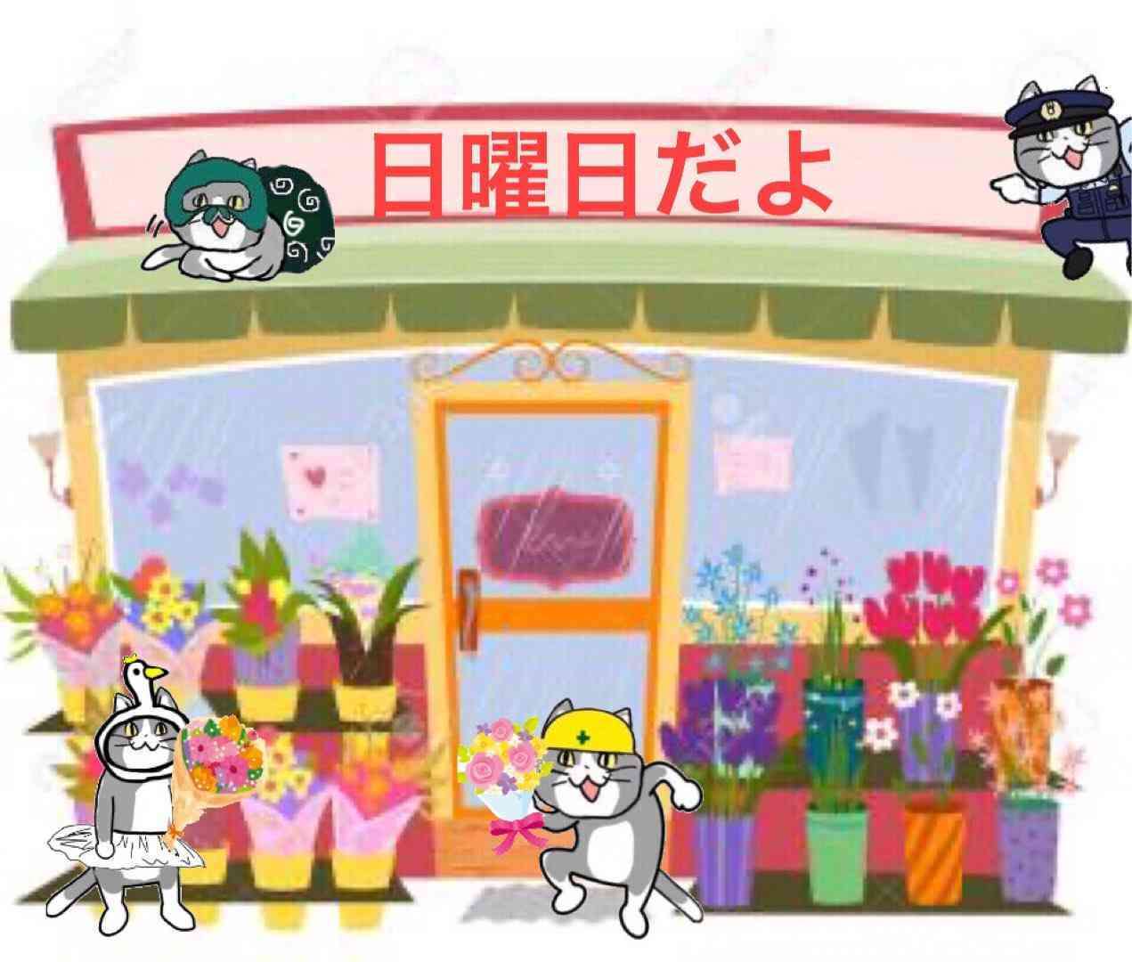 SNSで話題の“仕事猫”、ぬいぐるみ型クッションに