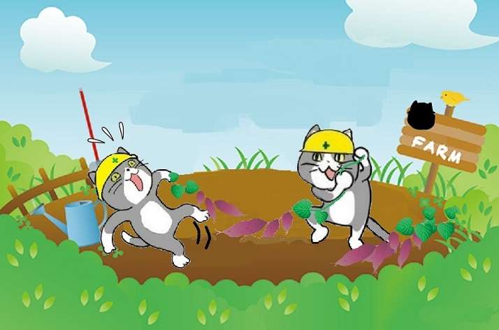 SNSで話題の“仕事猫”、ぬいぐるみ型クッションに