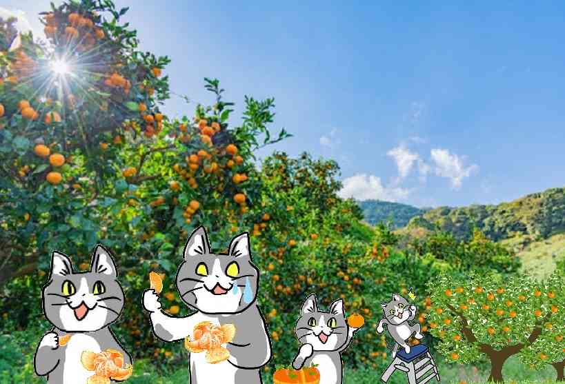 SNSで話題の“仕事猫”、ぬいぐるみ型クッションに