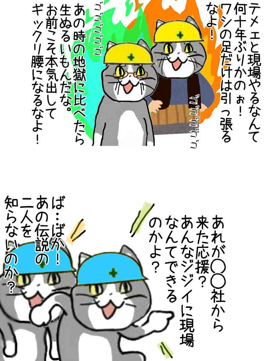 SNSで話題の“仕事猫”、ぬいぐるみ型クッションに