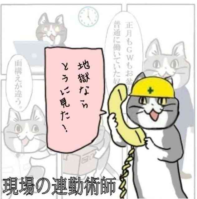 SNSで話題の“仕事猫”、ぬいぐるみ型クッションに