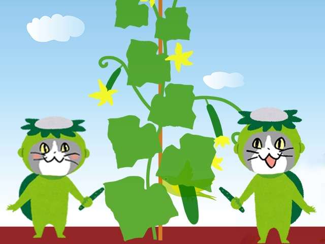 SNSで話題の“仕事猫”、ぬいぐるみ型クッションに